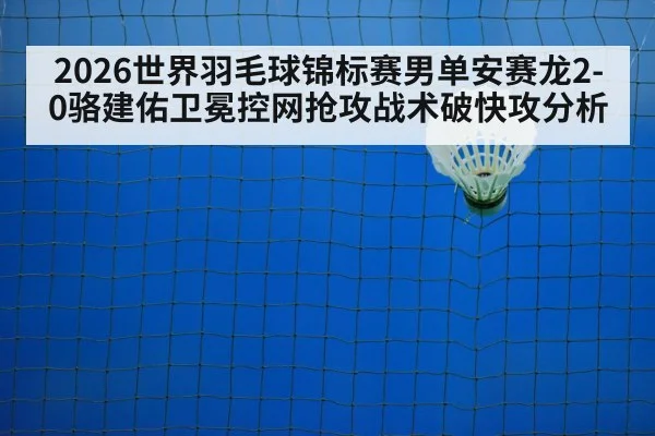 badminton net play（9game app）